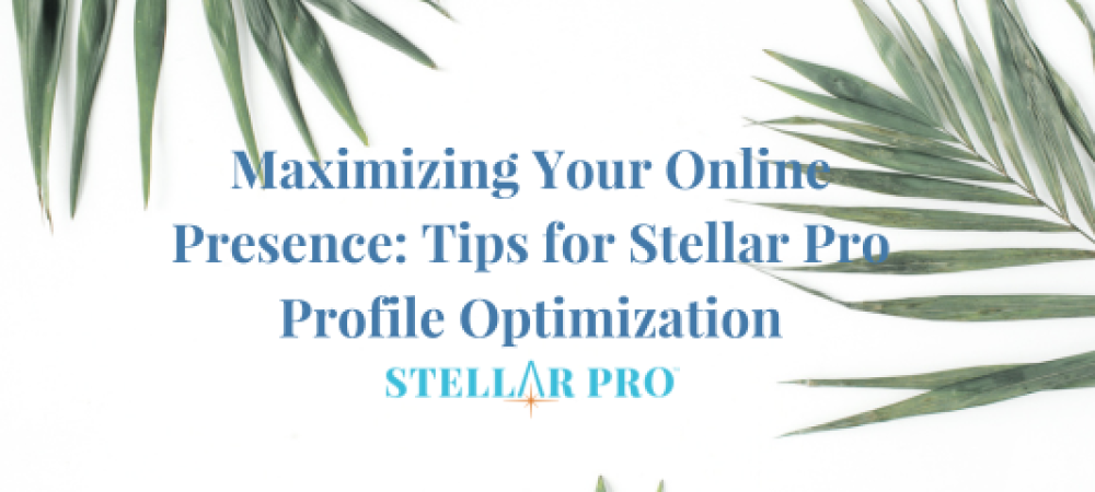 Maximizing Your Online Presence_ Tips for Stellar Pro Profile Optimization-472-png